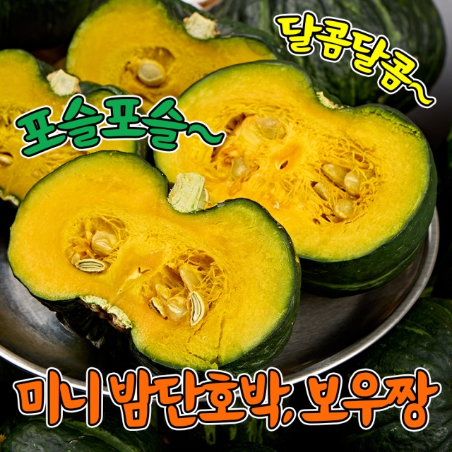 ※긴급※ 미니 밤단호박 보우짱1.5kg 2개구매시500g 추가증정