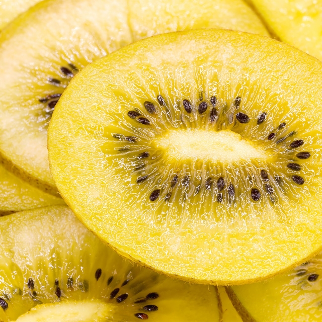 국내산 골드 키위 5kg