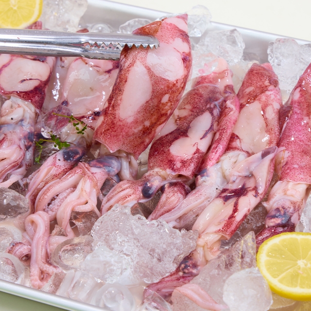 통영 바다의 쫄깃한 맛 총알한치 1kg (20-24미)