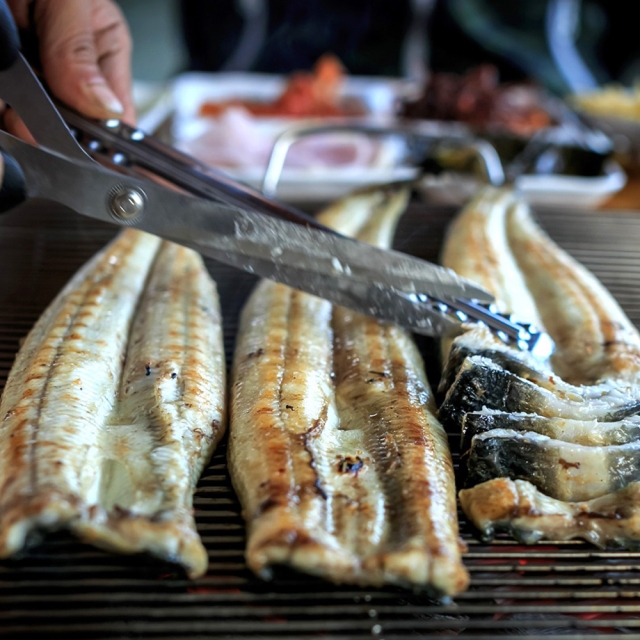 산지직송! 100% 국산 바로먹는 완조리 자연산 장어구이800g(조리후500g)