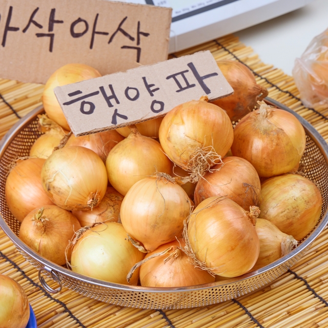 올해 첫 수확! 아삭하고 달큰한 국내산 햇양파