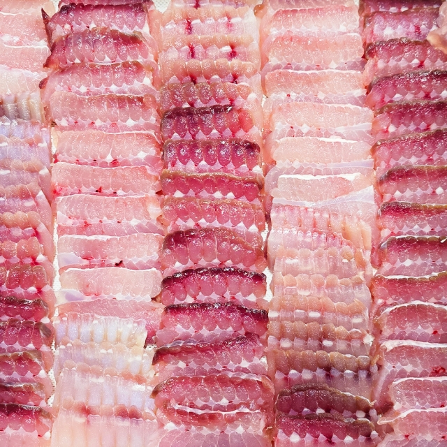 청정바다 흑산도에서 온 숙성 명품 홍어 500g 외