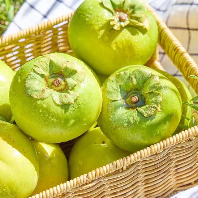 아삭함에 반하고 당도에 놀라는 태추 단감 1.5kg 외