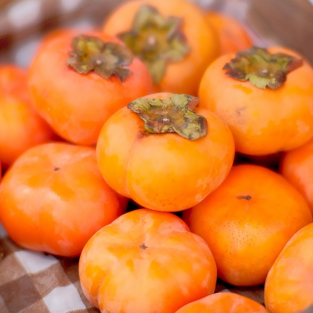 말랑달콤 영양가득한 가을 별미 청도반시 2kg 2.5kg 5kg