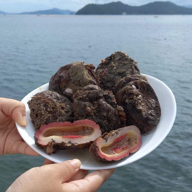씹을수록 퍼지는 바다의 맛 자연산 돌멍게 