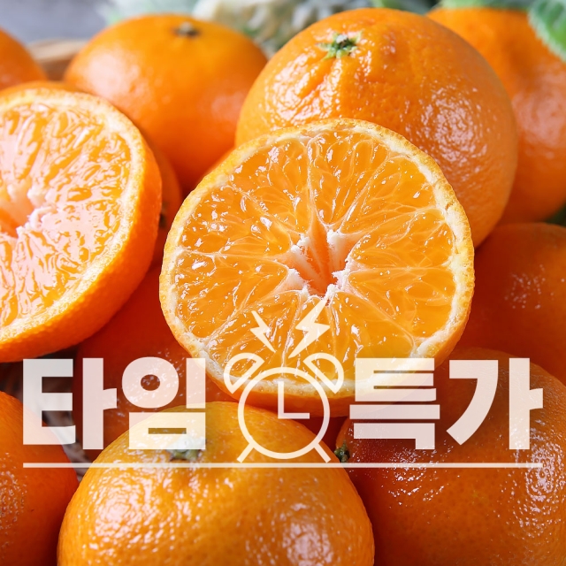 전국 최저가 도전!!! 제주 타이벡 감귤 10kg