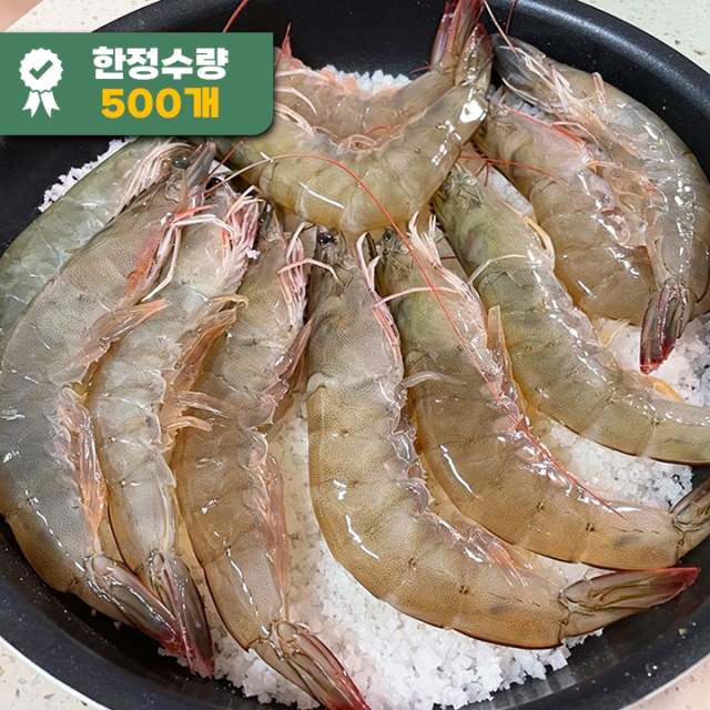★단 3일 한정수량!★신안 활 흰다리새우 